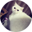 cocoleYY