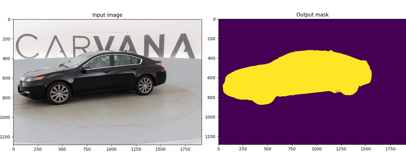 input and output for a random image in the test dataset