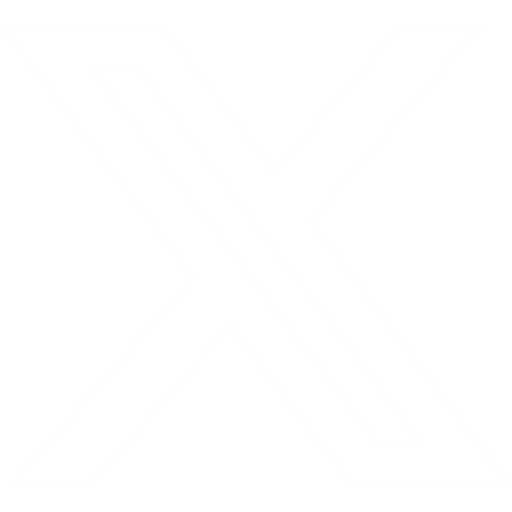 x | X